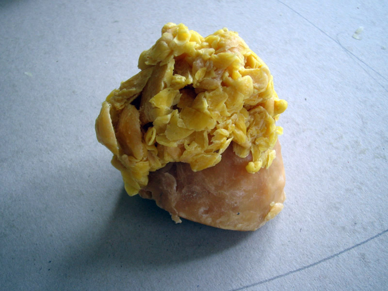 Markus S Fiedler - Muffin - Beeswax - Sculpture - Art - Life - Wax